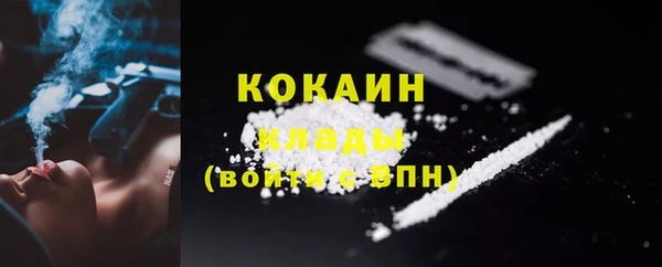 гидра Богородицк